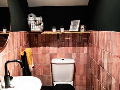 Picture 7